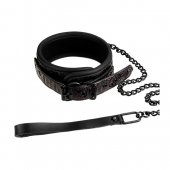 Obojek s vod�tkem Dream Toys BLAZE COLLAR AND LEASH fialov�
