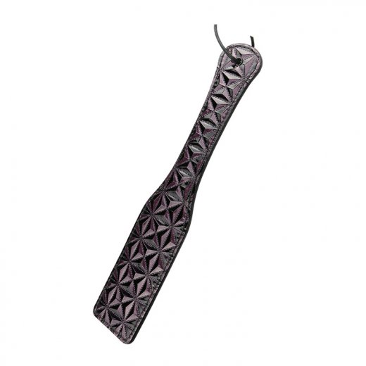 Pl�ca�ka Dream Toys BLAZE PADDLE fialov�