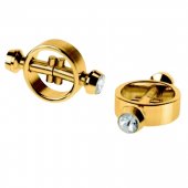 Sk�ipce na bradavky Pipedream FF MAGNETIC gold