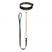 Obojek s vod�tkem Rosy Gold Collar with Leash �ern�